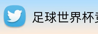 足球世界杯竞猜网站 Logo